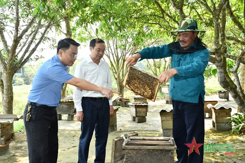 Huyện Minh Hóa (Quảng Bình): Tìm đầu ra cho sản phẩm mật ong